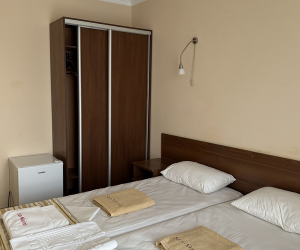 2-местный стандартный